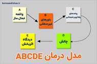 رفتار درمانی عقلانی هیجانی(151 پاورپوینت ساختارمند  قابل ویرایش)